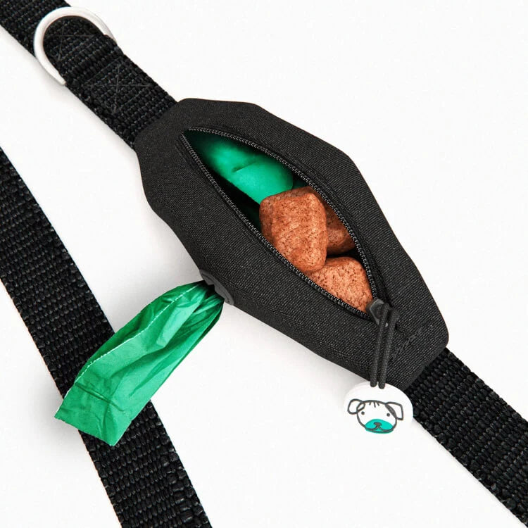 Dog Lead with Poo Bag Holder