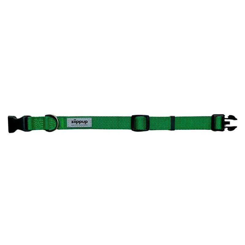 Dog Collar