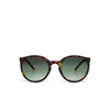 Okkia Berlino Classic Havana