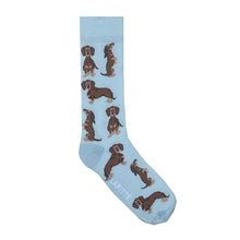  Dashund Sock