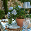 Blue Stripe Shade