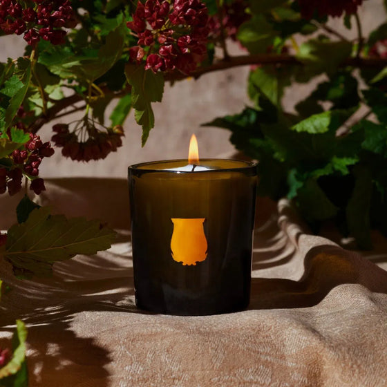 Cyrnos Petit Candle