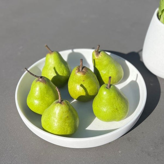 Tex Shallow Bowl Small