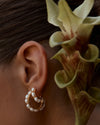 Verbina Earings