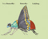 Build-a-Bug