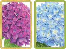  Hydrangea Gds Cards