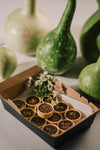 Caramel Chocolate Tartlets - 12 pieces