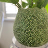Mode Lychee Vase Green 25cm