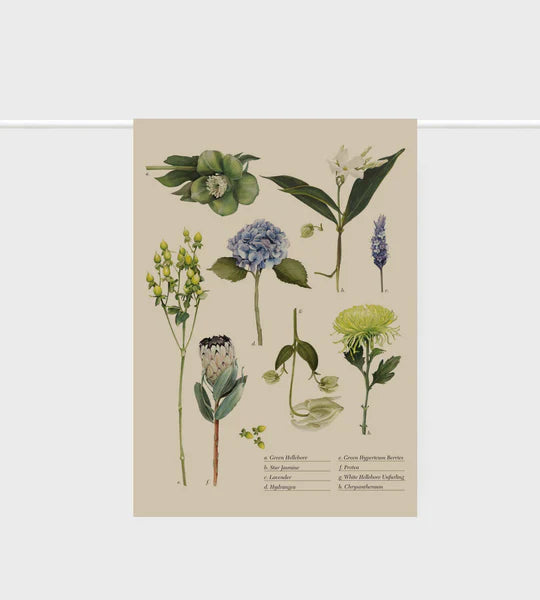 Father Rabbit Botanical Collection Tea Towel