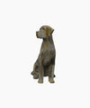Baron Dog