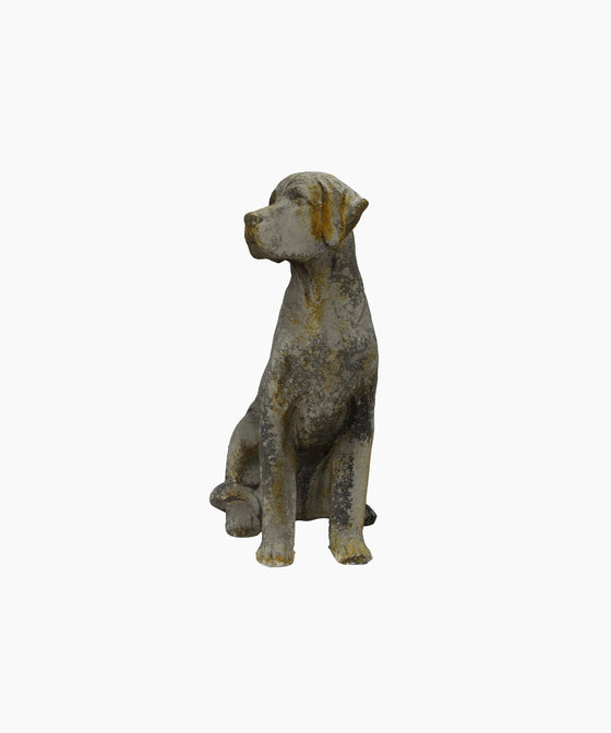 Baron Dog