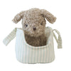 Puppy In Carrier Biscuit