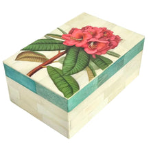  Paradiso Box - Rhododendron