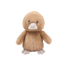  River the Platypus