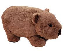  Walter the Wombat Plush Toy