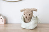 Puppy In Carrier Biscuit