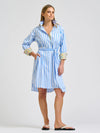 Winnie Classic Shirt Dress Pale Blue Stripe Floral Trim