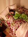 Lupin Multi Standard PIllowcases - set of 2