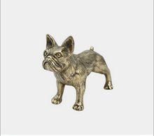  Gold French Bulldog