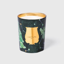  Trudon 2025 Holiday FIR Candle Intermezzo