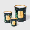 Trudon 2025 Holiday FIR Candle Intermezzo