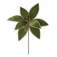  Poinsetia Stem Green