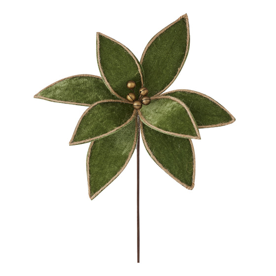 Poinsetia Stem Green