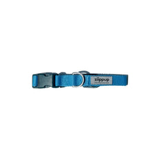  Dog Collar