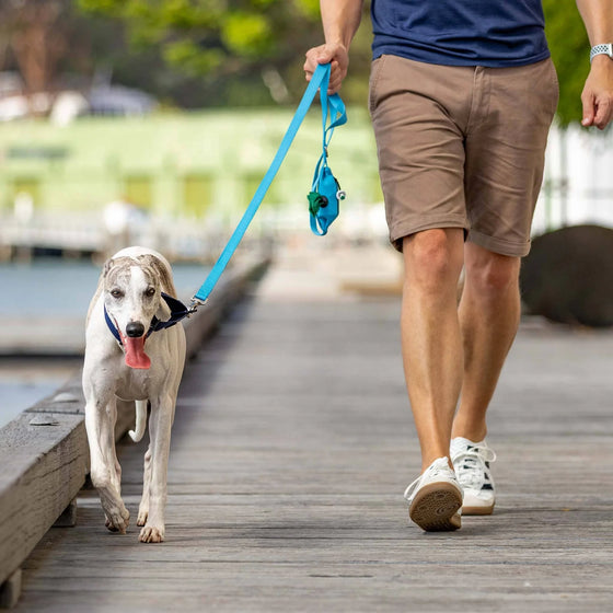 Dog Lead with Poo Bag Holder