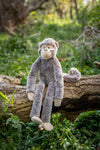Mani The Monkey