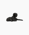 Dog Door Stop