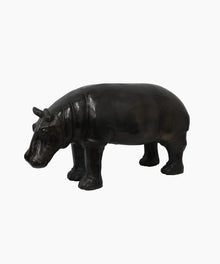  Hippo Black