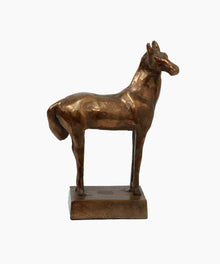  Camelot Horse