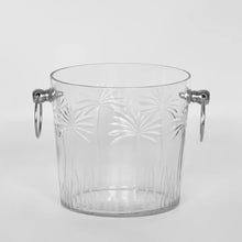  Ice Bucket Palm