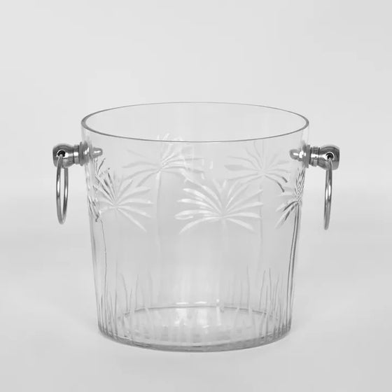 Ice Bucket Palm