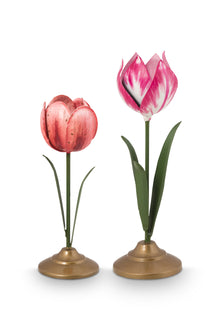  Tulip Cand sticks Pink