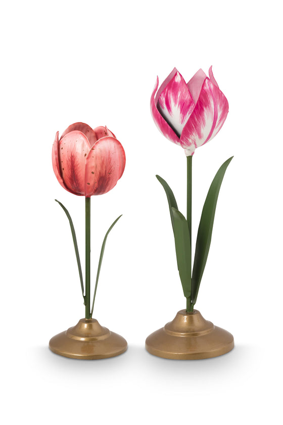 Tulip Cand sticks Pink