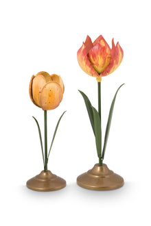  Tulip Cand sticks Yellow