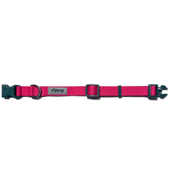 Dog Collar