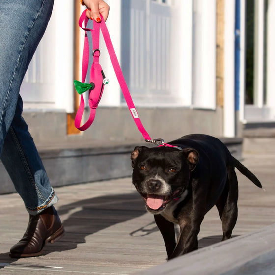 Dog Collar