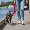 Dog Lead with Poo Bag Holder