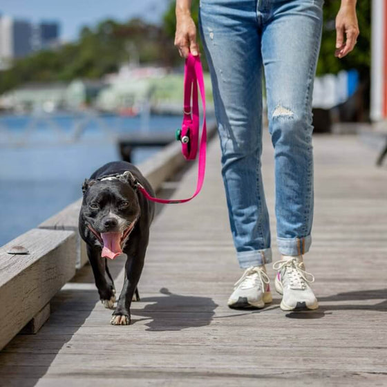 Dog Lead with Poo Bag Holder