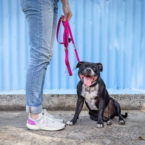 Dog Lead with Poo Bag Holder
