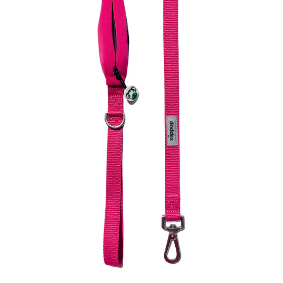 Dog Lead with Poo Bag Holder