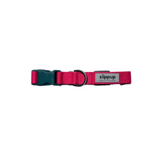  Dog Collar