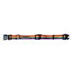 Dog Collar