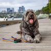 Dog Lead with Poo Bag Holder