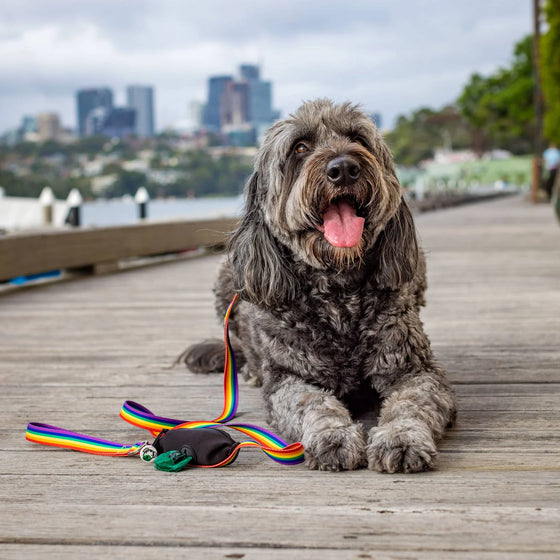 Dog Lead with Poo Bag Holder