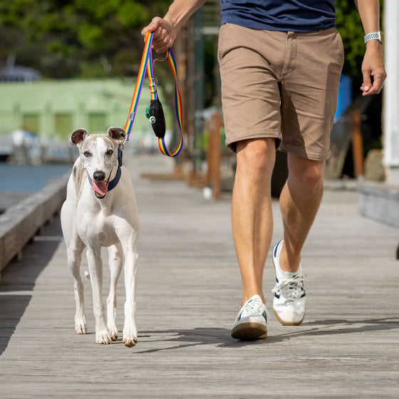 Dog Lead with Poo Bag Holder
