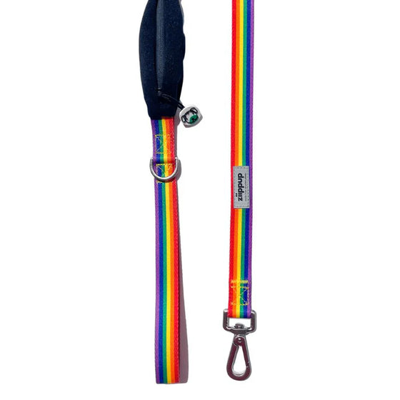 Dog Lead with Poo Bag Holder